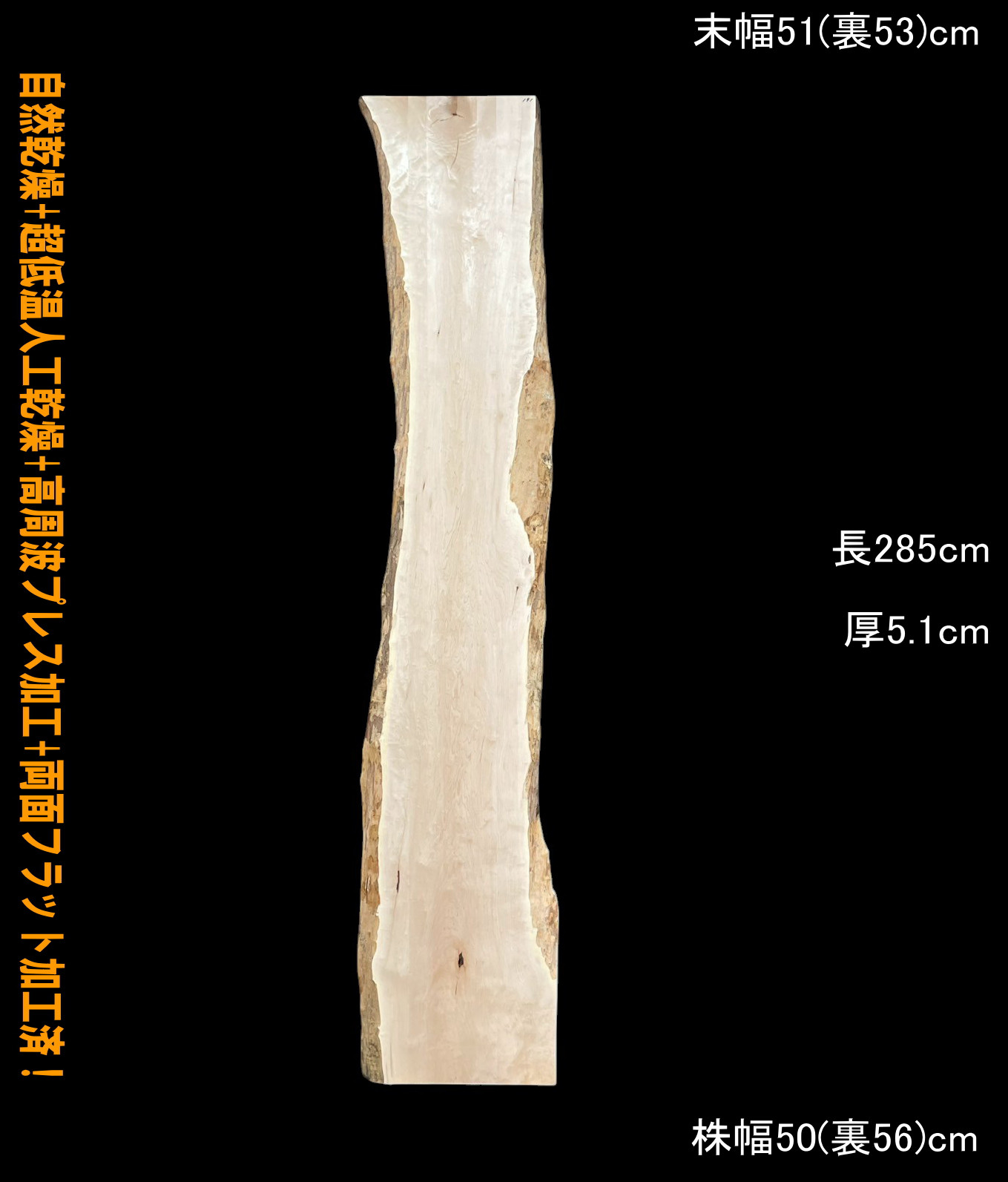 楓　C191　一枚板　長尺　乾燥材　棚板　カウンター　テーブル　レジン　天板　◆営業所止送料無料◆