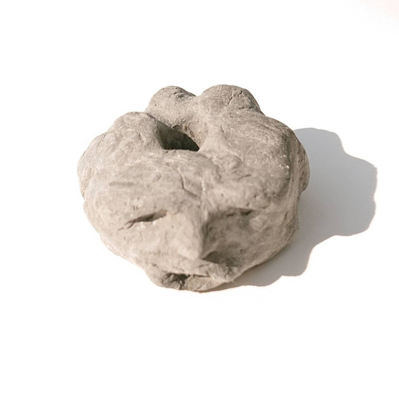 発見!マンドラゴラ 6枚目の画像