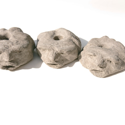 発見!マンドラゴラ 7枚目の画像