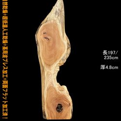 欅 C310 一枚板 乾燥材 棚板 カウンター テーブル DIY 耳付 天板  