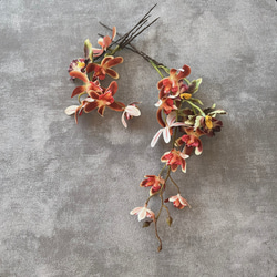 ルナリアとパンパスグラスのリース ナチュラルリース ドライフラワー