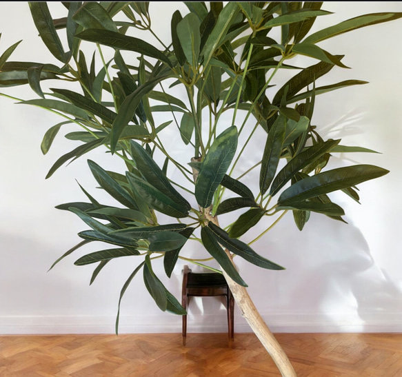 光触媒　人工観葉植物　ウォールグリーン　フェイクグリーン　シェフレラアンガス12 3枚目の画像