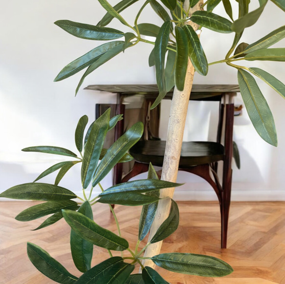 光触媒　人工観葉植物　ウォールグリーン　フェイクグリーン　シェフレラアンガス12 5枚目の画像