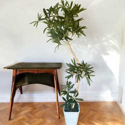 光触媒　人工観葉植物　ウォールグリーン　フェイクグリーン　シェフレラアンガス12 2枚目の画像