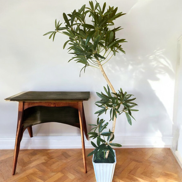 光触媒　人工観葉植物　ウォールグリーン　フェイクグリーン　シェフレラアンガス12 2枚目の画像