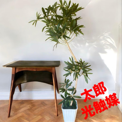 光触媒 人工観葉植物 ウォールグリーン フェイクグリーン ボール