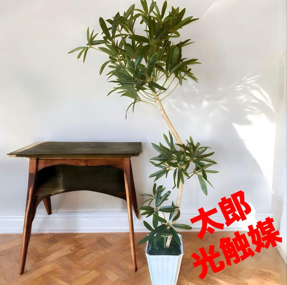 光触媒　人工観葉植物　ウォールグリーン　フェイクグリーン　シェフレラアンガス12 1枚目の画像