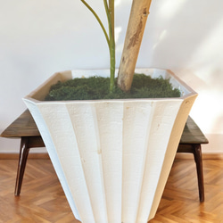 光触媒　人工観葉植物　ウォールグリーン　フェイクグリーン　シェフレラアンガス12 6枚目の画像