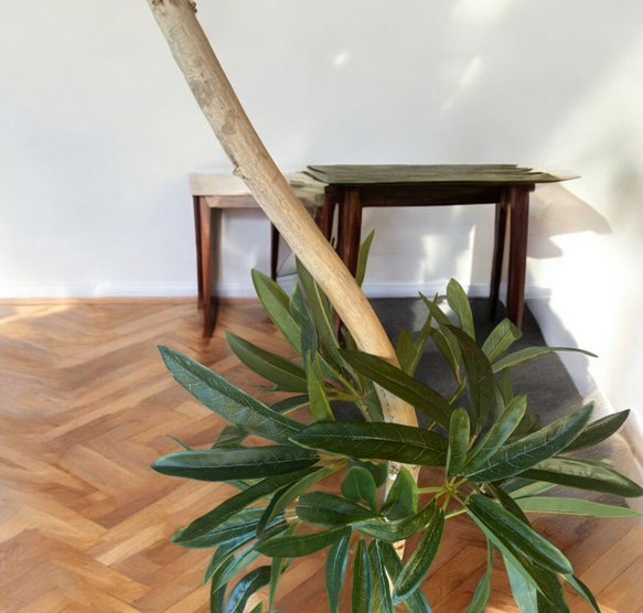 光触媒　人工観葉植物　ウォールグリーン　フェイクグリーン　シェフレラアンガス12 4枚目の画像