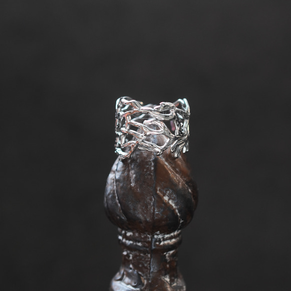 秋の新作【金属アレルギー対応・フリーサイズ】クラウン小枝　サージカルカルステンレスリング(指輪・イヤーカフ） 12枚目の画像