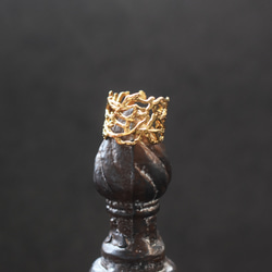 秋の新作【金属アレルギー対応・フリーサイズ】クラウン小枝　サージカルカルステンレスリング(指輪・イヤーカフ） 13枚目の画像