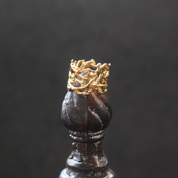 秋の新作【金属アレルギー対応・フリーサイズ】クラウン小枝　サージカルカルステンレスリング(指輪・イヤーカフ） 13枚目の画像