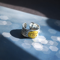 冬の新作【数量限定・フリーサイズ】マリアメダイ　祈りのリング　SV925(指輪・シルバー） 2枚目の画像