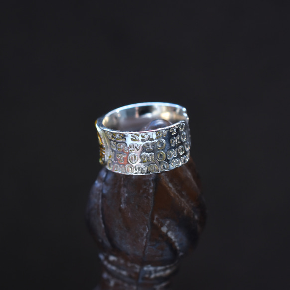 冬の新作【数量限定・フリーサイズ】マリアメダイ　祈りのリング　SV925(指輪・シルバー） 4枚目の画像