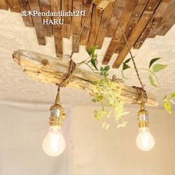 限定1台！ 流木のペンダントライト2灯 RYUYA LED電球セット ｜天井照明