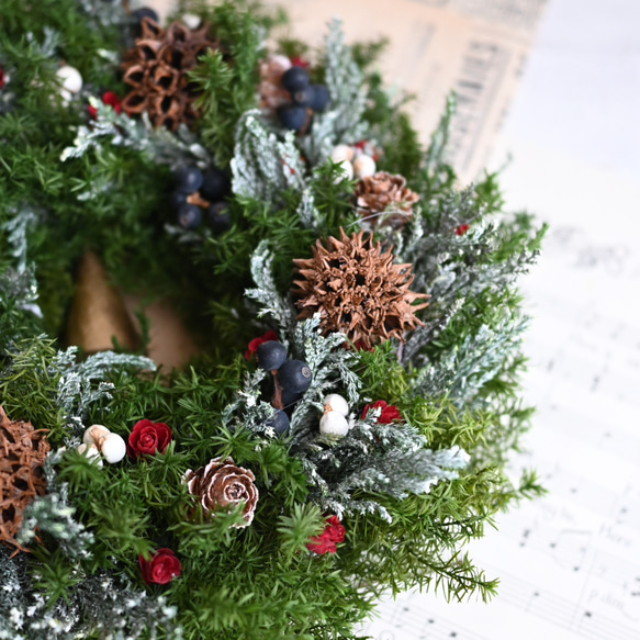 23センチ＊来年も飾れる天然素材クリスマスリース＊プリザーブド針葉樹 6枚目の画像
