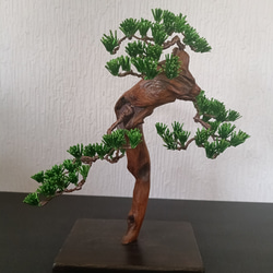 ワイヤー盆栽 立体・オブジェ ワイヤーアート工房kensogor 通販