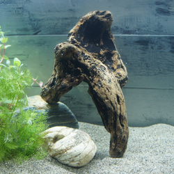 wood dropsの販売中作品一覧 | ハンドメイド通販・販売のCreema