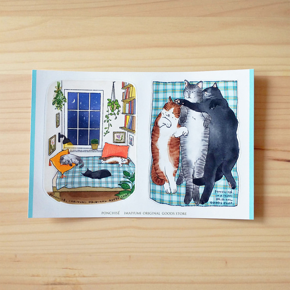 ぐっすり猫ステッカー 1枚目の画像