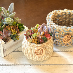 リメイク缶鉢の多肉植物寄せ植え そのまま飾れる クリスマス 多肉植物