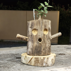 霊芝 置物 直径25cm 高さ20cm 300g 霊芝 置物 直径25cm 高さ20cm 300g