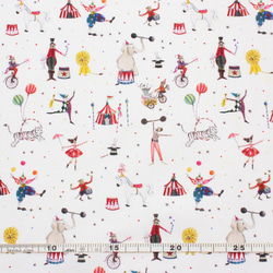 新柄！ハーフカットサイズ！ドイツ！『acufactum　アクファクタム　サーカス地』～約75cm×50㎝でカット済み～ 2枚目の画像