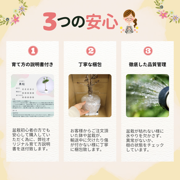 ＊ヒイラギ盆栽（香り姫）＊陶板プレゼント＊ 7枚目の画像