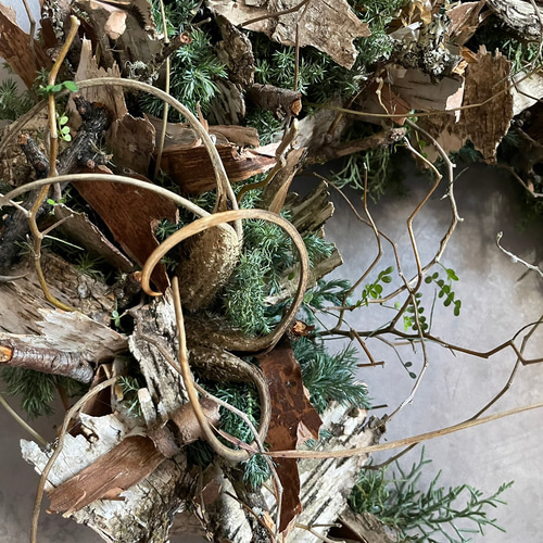 白樺とツノゴマの三日月リース リース papaver 通販 20051152｜Creema