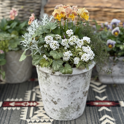 オレンジ色パンジーとヒューケラの寄せ植え アートフラワー Ohano 通販