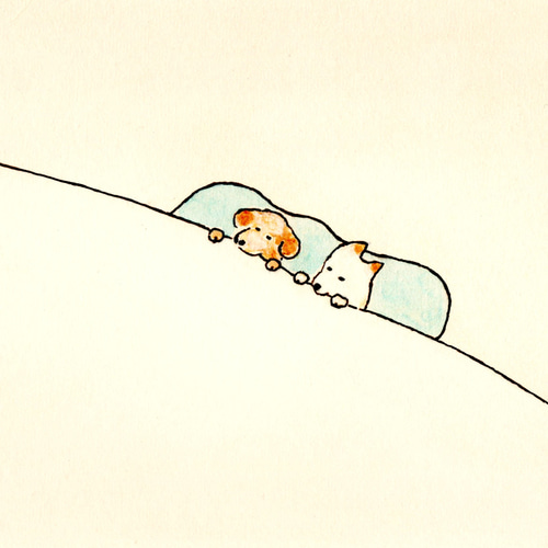 ㉘「おやすみなさい」ポストカード同柄3枚セット 絵葉書 メッセージ