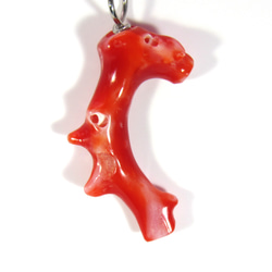 土佐の宝石珊瑚　アクセサリ－・ジュエリー 　赤枝　ネックレス・ペンダント　IMG-1356　　 2枚目の画像