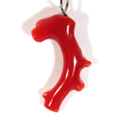 土佐の宝石珊瑚　アクセサリ－・ジュエリー 　赤枝　ネックレス・ペンダント　IMG-1356　　 1枚目の画像