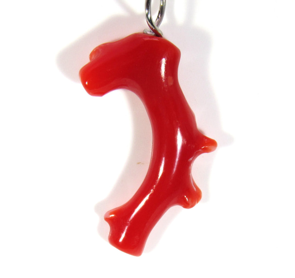 土佐の宝石珊瑚　アクセサリ－・ジュエリー 　赤枝　ネックレス・ペンダント　IMG-1356　　 1枚目の画像