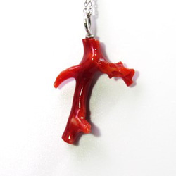 土佐の宝石珊瑚  アクセサリー・ジュエリ－  赤枝　ネックレス ・ペンダント cw－01185 2枚目の画像