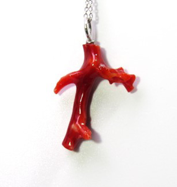 土佐の宝石珊瑚  アクセサリー・ジュエリ－  赤枝　ネックレス ・ペンダント cw－01185 2枚目の画像