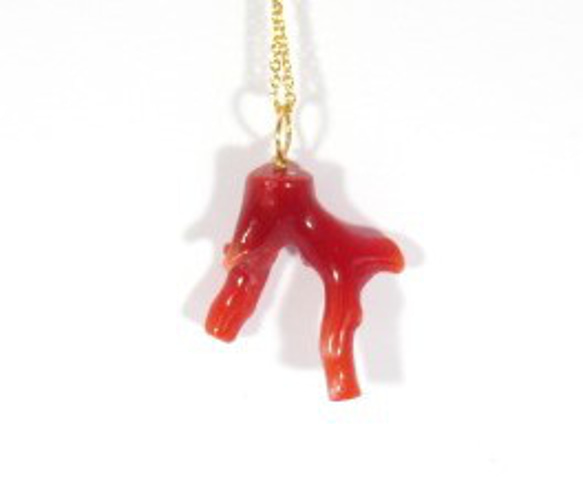 土佐の宝石珊瑚    アクセサリー ・ジュエリー　赤枝　ネックレス・ペンダント　 No－01175 1枚目の画像