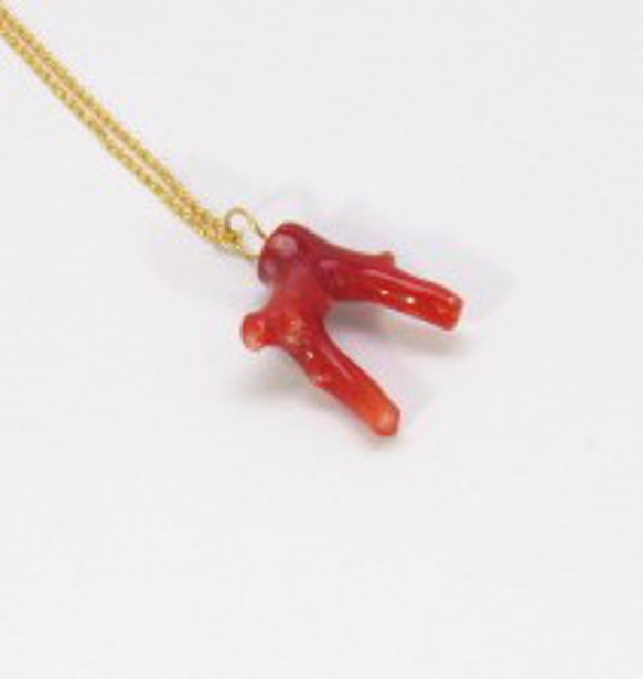 土佐の宝石珊瑚    アクセサリー ・ジュエリー　赤枝　ネックレス・ペンダント　 No－01175 3枚目の画像