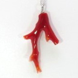 土佐の宝石珊瑚   アクセサリー ・ジュエリ－　赤枝　ネックレス・ペンダント　No－01173 1枚目の画像