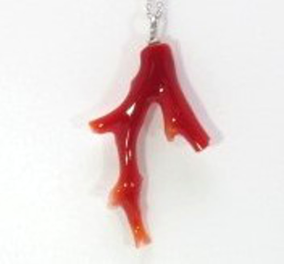 土佐の宝石珊瑚   アクセサリー ・ジュエリ－　赤枝　ネックレス・ペンダント　No－01173 1枚目の画像