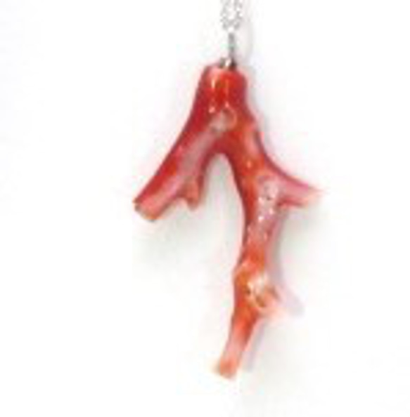 土佐の宝石珊瑚   アクセサリー ・ジュエリ－　赤枝　ネックレス・ペンダント　No－01173 6枚目の画像