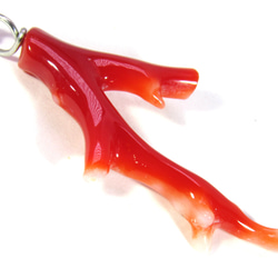 土佐の宝石珊瑚   アクセサリー ・ジュエリ－　赤枝　ネックレス・ペンダント　No－01173 2枚目の画像