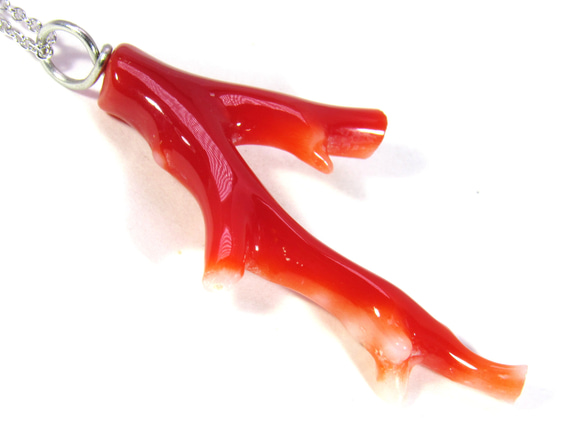 土佐の宝石珊瑚   アクセサリー ・ジュエリ－　赤枝　ネックレス・ペンダント　No－01173 2枚目の画像