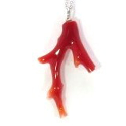 土佐の宝石珊瑚   アクセサリー ・ジュエリ－　赤枝　ネックレス・ペンダント　No－01173 5枚目の画像