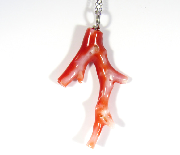 土佐の宝石珊瑚   アクセサリー ・ジュエリ－　赤枝　ネックレス・ペンダント　No－01173 4枚目の画像