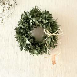 ユーカリ ボール L 16cm ＊ フラワーボール フライングボール ドライ