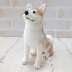 ジャックラッセルテリア お座り 羊毛フェルト manahata 通販 12696570