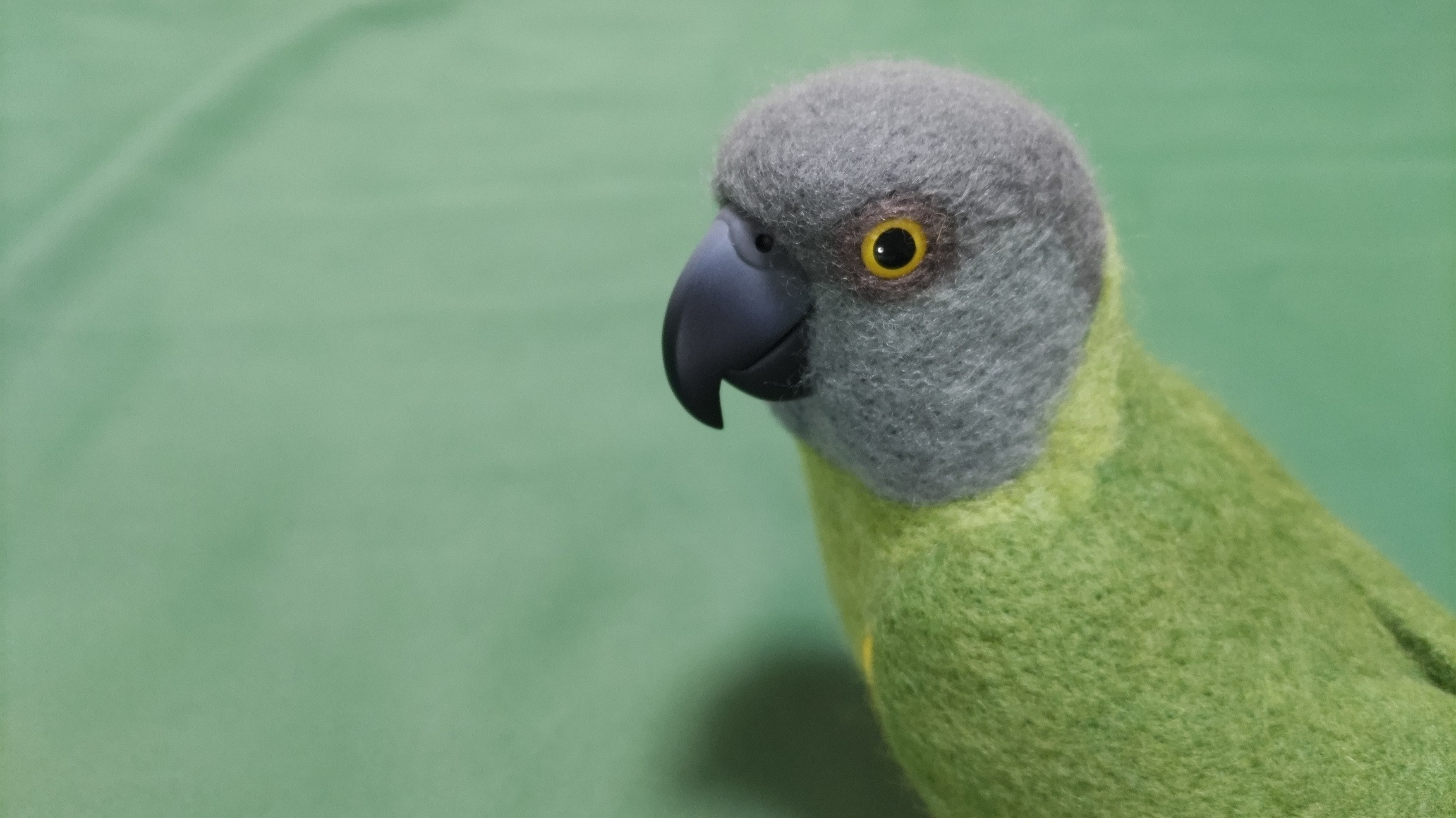 羊毛フェルト　ネズミガシラハネナガインコ　(セネガルパロット)