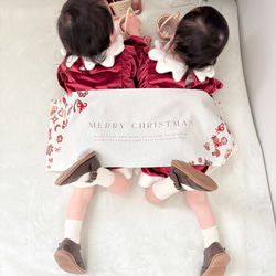 【早割】選べるリボン 新作クリスマスタペストリー miniタペストリー付き　2025 4枚目の画像