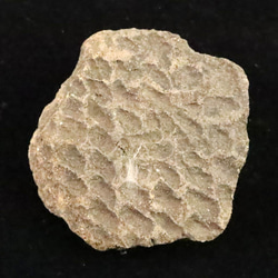 ロシアンレムリアン スモーキー 138mm 原石 249g【榎本通商22635