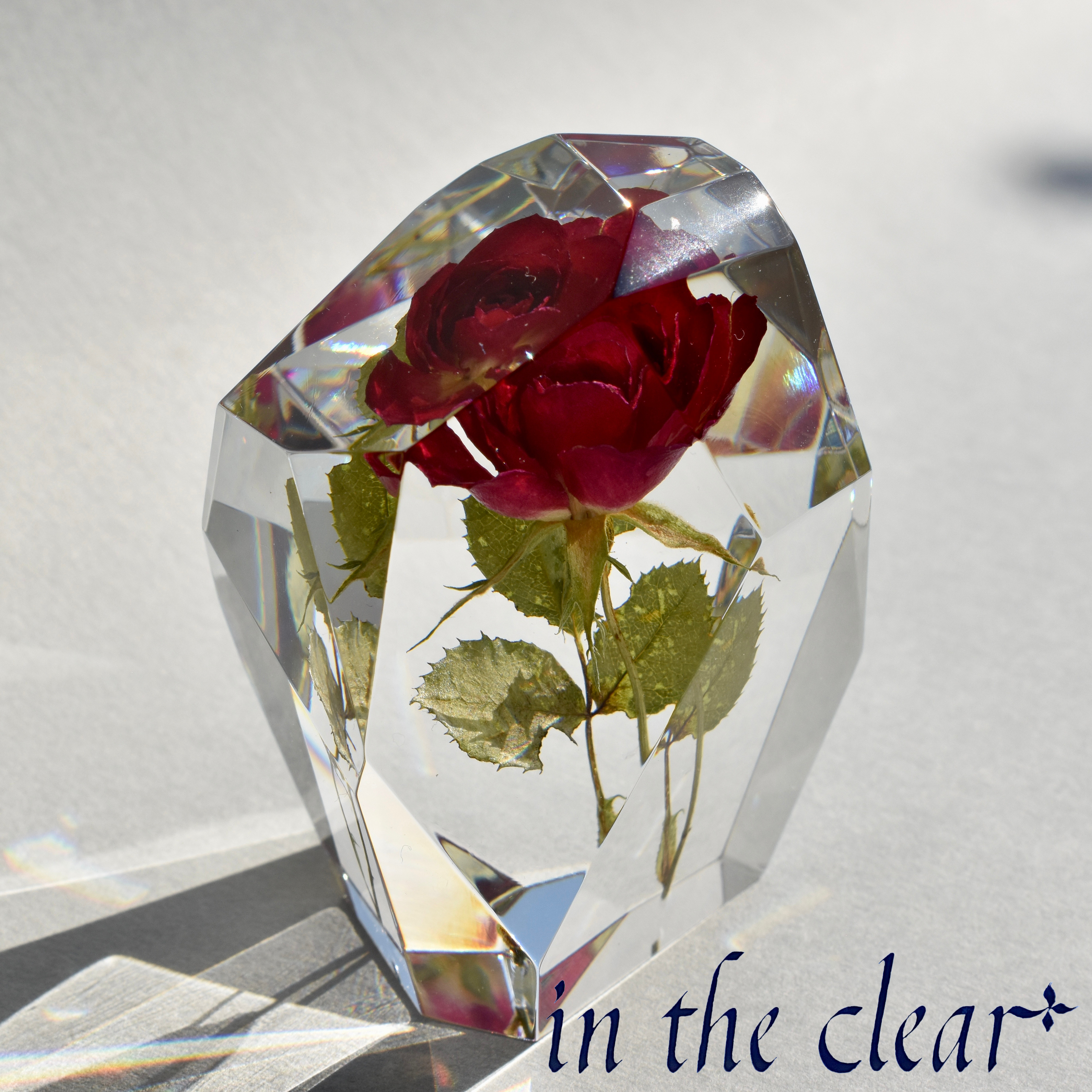 植物標本　薔薇　赤　レジン　鉱石型